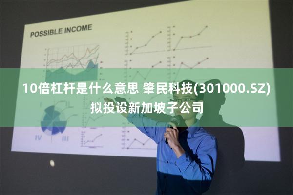 10倍杠杆是什么意思 肇民科技(301000.SZ)拟投设新加坡子公司