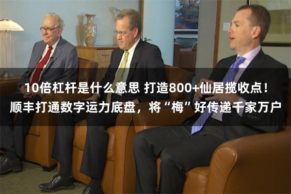 10倍杠杆是什么意思 打造800+仙居揽收点！顺丰打通数字运力底盘，将“梅”好传递千家万户