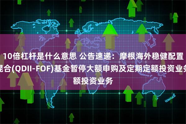 10倍杠杆是什么意思 公告速递：摩根海外稳健配置混合(QDII-FOF)基金暂停大额申购及定期定额投资业务